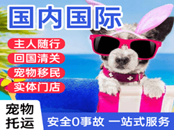 宁波机场快递国际宠物托运 【国